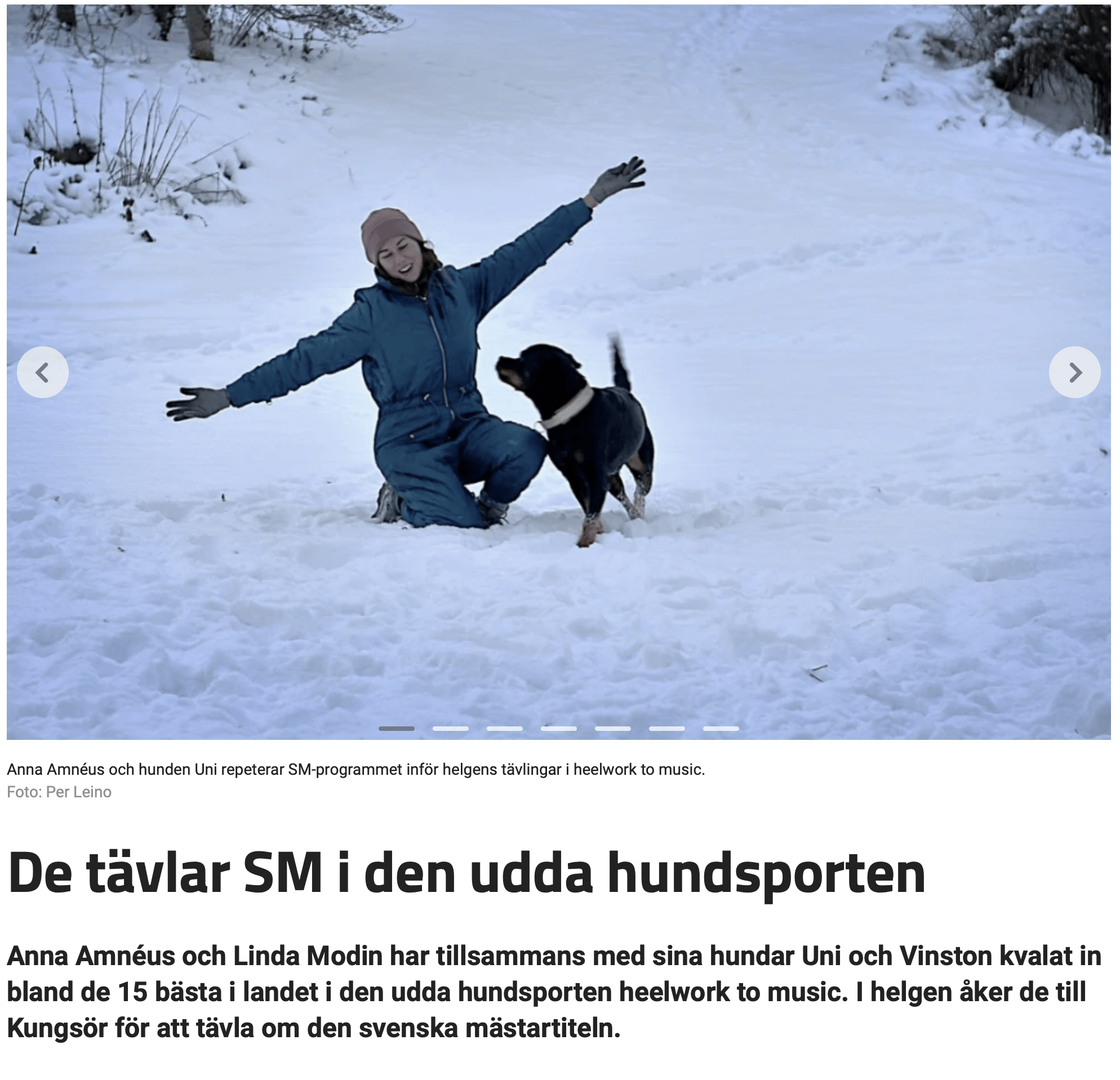 Anna Amnéus Kompis positiv hundträning hundkurser på Gotland